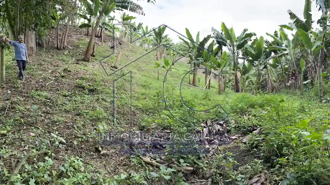 Casa Campestre, Circasia